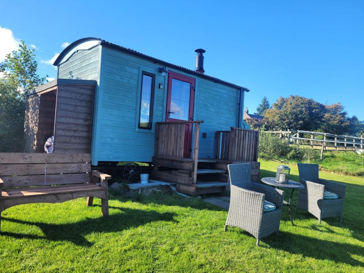 The Shepherds Hut At Forestview Farm Greenisland Exterior photo